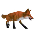 Fox Kit