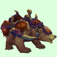 Tawny Bear w/ Purple Amani Armour