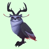 Black Somnowl w/ Pronged Antlers, Small Ears, Wide Brows, Stub-Tail