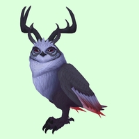 Black Somnowl w/ Pronged Antlers, No Ears, Horned Brows, Short Tail