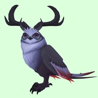 Black Somnowl w/ Crescent Antlers, No Ears, Horned Brows, Long Tail