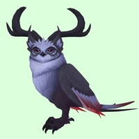 Black Somnowl w/ Crescent Antlers, Medium Ears, Horned Brows, Long Tail