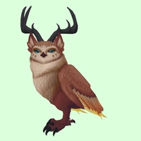 Brown Somnowl w/ Pronged Antlers, Medium Ears, No Brows, Stub-Tail