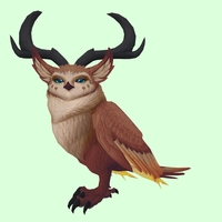 Brown Somnowl w/ Crescent Antlers, Large Ears, No Brows, Medium Tail