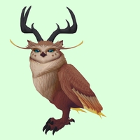 Brown Somnowl w/ Pronged Antlers, Small Ears, Wide Brows, Stub-Tail
