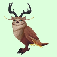 Brown Somnowl w/ Pronged Antlers, Small Ears, Wide Brows, Medium Tail