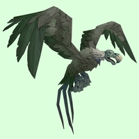 Green Vulture