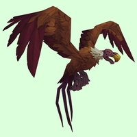 Tan & Purple Vulture