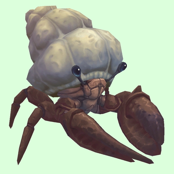 Brown Hermit Crab w/ Plain Shell