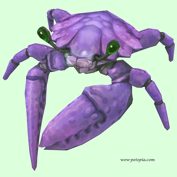 Purple Crab