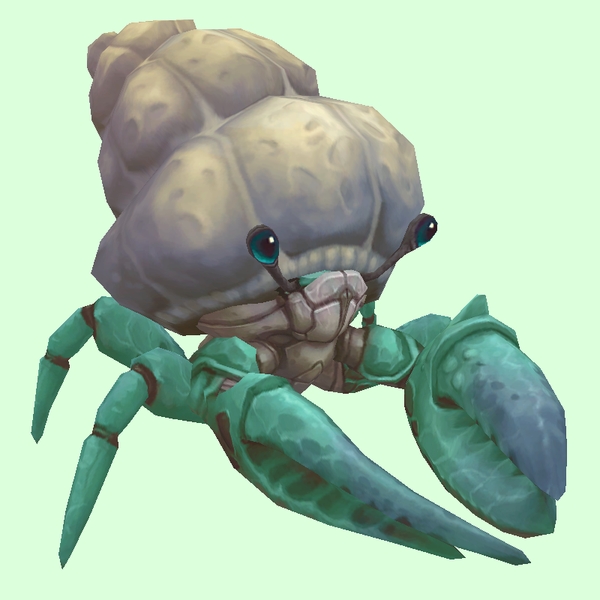 Teal Hermit Crab w/ Plain Shell
