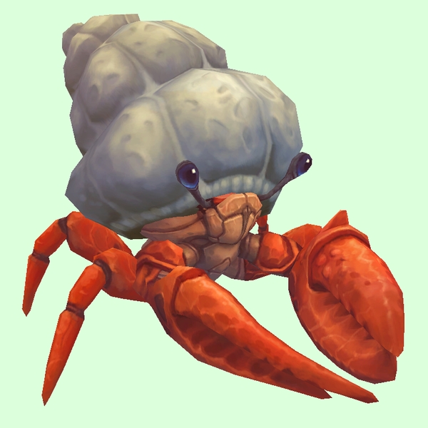 Vermilion Hermit Crab w/ Plain Shell