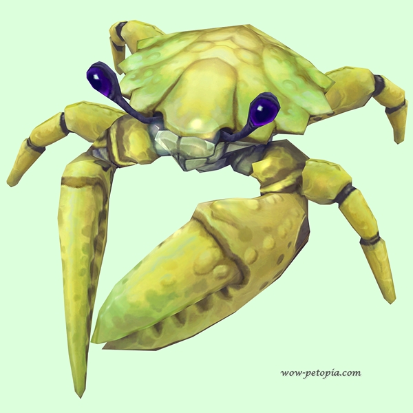 Yellow Crab