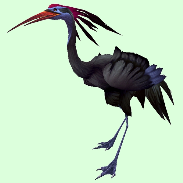 Black Crane