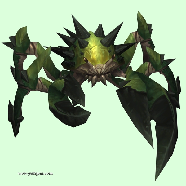 Green Spiked Crab