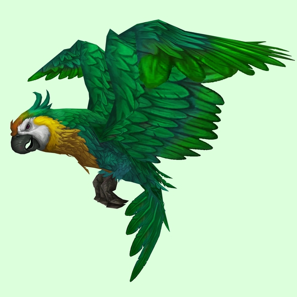 Green Parrot