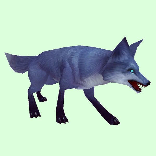 Grey Fox