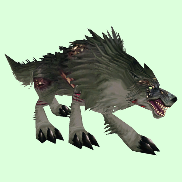 Diseased Black Wolf