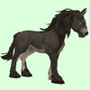 Dark Brown Horse w/ White Belly & Long Mane
