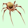 Classic Tan Spider