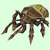 Brown Scarab Beetle