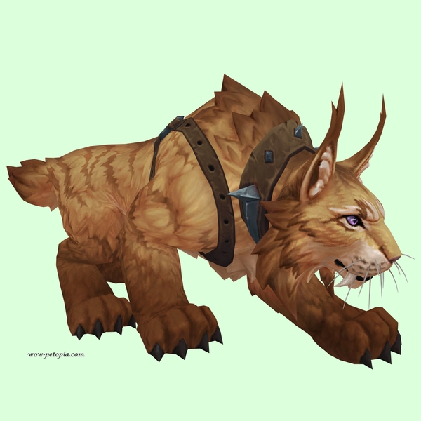 Amber Lynx w/ Iron-Studded Harness - Pet Look | Petopia - Hunter Pets ...