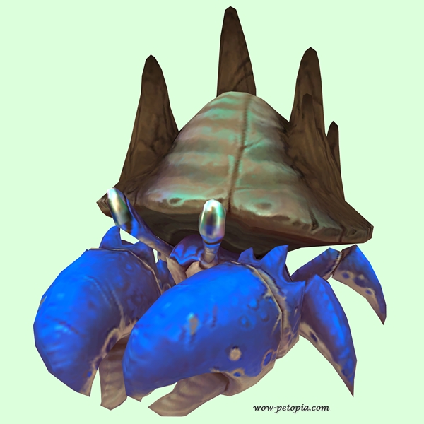 Blue & Brown Cave Crab