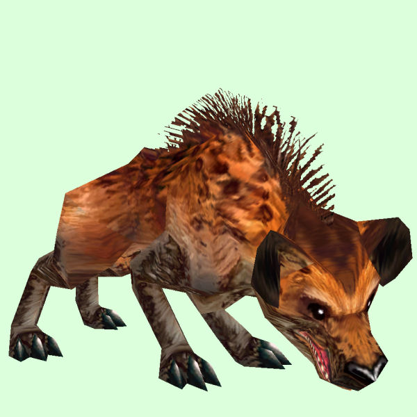 Petopia: Orange Hyena