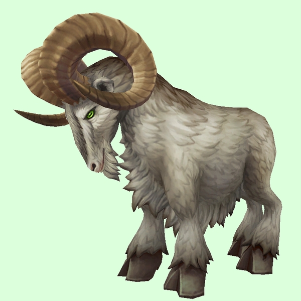 Ram - Pet Look Petopia - Hunter Pets in the World of Warcraft