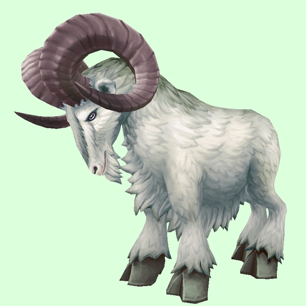 Ram Pet Look | Petopia - Hunter Pets in the World of Warcraft