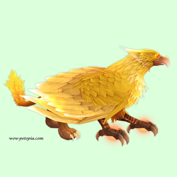 Yellow Stormrook w/ Sickle Beak, Flat Crown, Straight Brows, Thick Cheeks, and Wild Tail